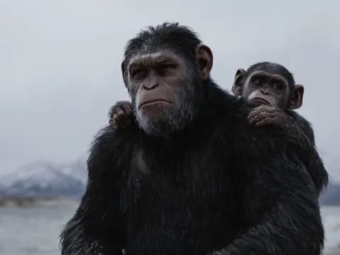 Kingdom of the Planet of the Apes: What Happened to Cornelius?