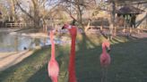 Potawatomi Zoo plans summer animal meet and greets