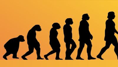 Evolución: ¿una “teoría del todo” en ciencias de la vida? | Sociedad