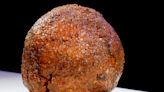 The 'mammoth meatball' grown in a lab probably doesn't taste like woolly mammoth at all