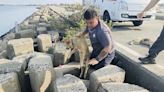 犬隻矯正器立大功 布袋觀光區犬隻追車咬人比例降七成 | 蕃新聞