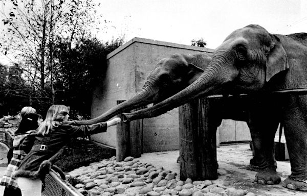 Sacramento opened its Land Park zoo during a truly roaring ’20s. What came next was wild