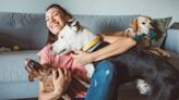 How to Prepare Your Dog and Home for a Pet Sitter