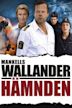 Wallander - Hämnden