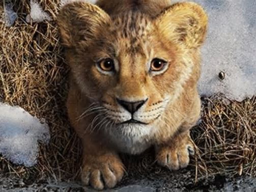 Disney presenta el primer tráiler de la película live action “Mufasa: El Rey León”