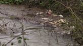 Spills of raw sewage into England's rivers and seas are worst on record