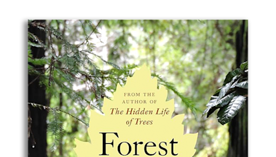 Read 'Forest Walking' With The SciFri Book Club