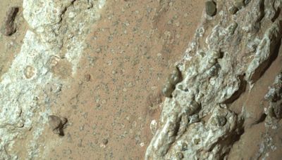 Una intrigante roca revela posible vida antigua en Marte