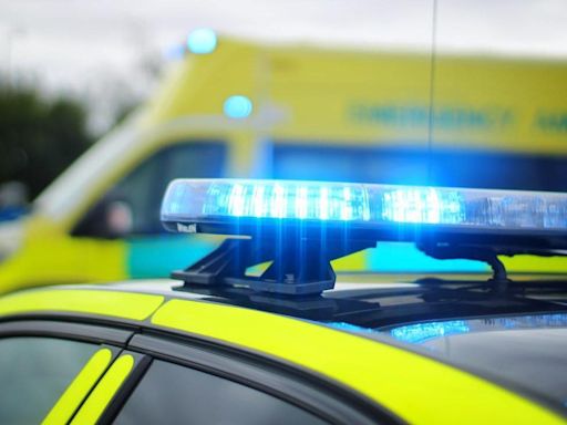 Motorbike passenger killed in crash