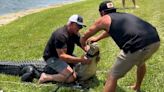 Using a fishing pole and rope, massive 11-foot creature reeled out of a Florida pond