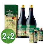 【大漢酵素】V52蔬果維他植物醱酵液2大2小組