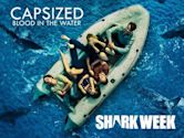 Capsized: Blood in the Water