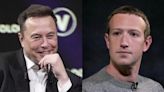 Musk, Zuckerberg train with UFC champions ahead of potential cage bout