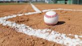 H.S. Baseball: Wyoming Area edges Valley View in D2-4A quarterfinals - Times Leader