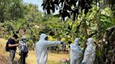 Cambodia says recent bird flu cases not spread by humans
