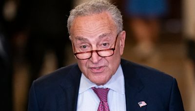 Schumer praises Biden as ‘true patriot’ for dropping out