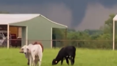 Tornado touched down during North Texas storms, delayed report confirms
