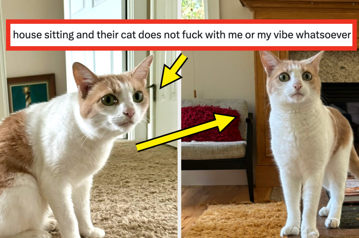 18 Fails From The Internet This Week That Are So Funny You'll Die