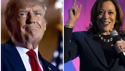 ‘Black or Indian?’ Donald Trump launches ‘racially insensitive’ attack on Kamala Harris