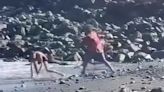 Shocking moment beachgoer is beaten with parasol stick on Tenerife beach