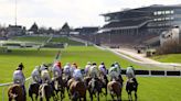 Cheltenham Festival: What are controversial new whip rules?