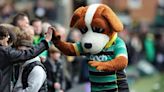 Rugby club on the hunt for new hot dog mascot