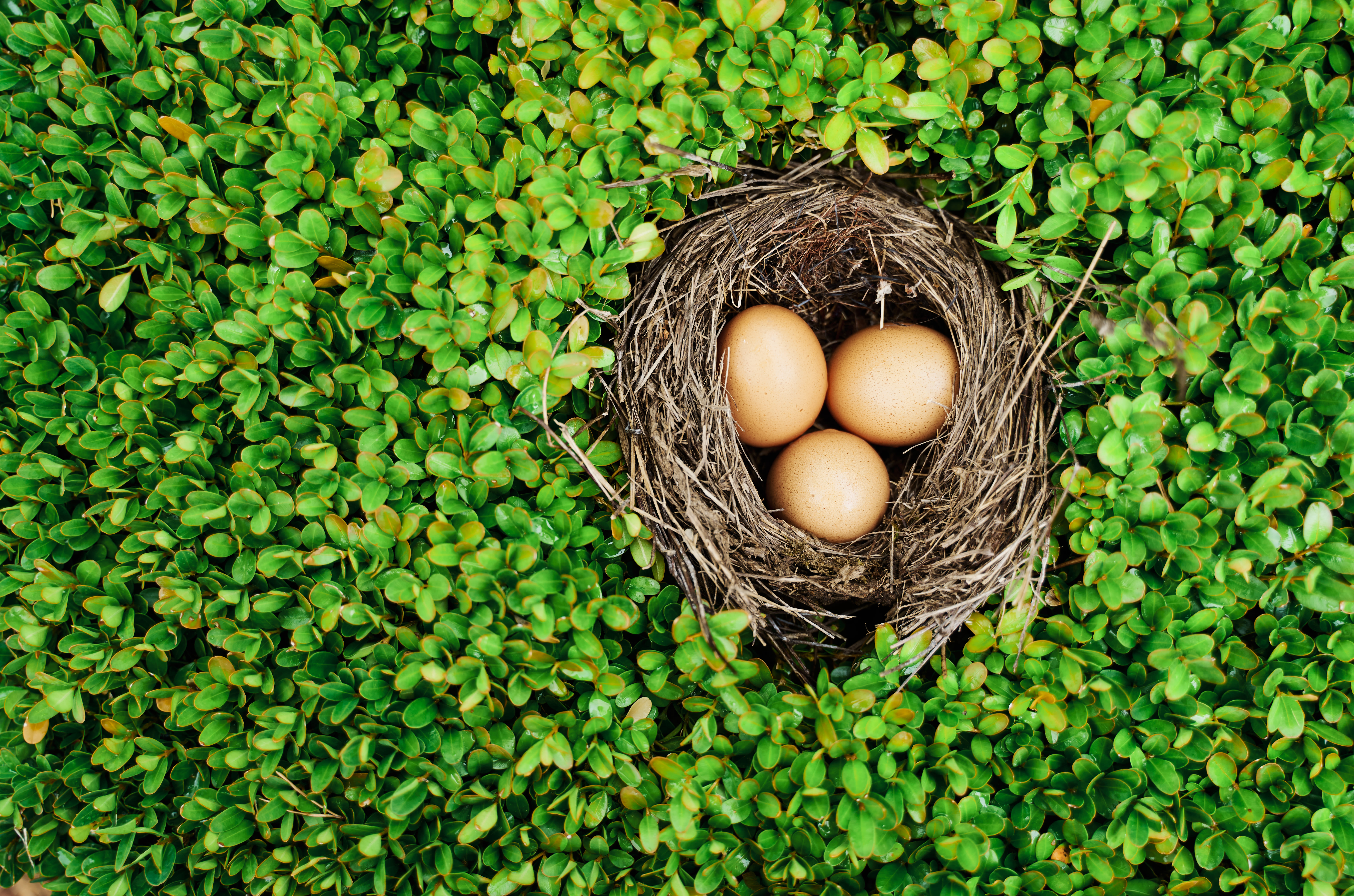 Best CD rates today: Grow your nest egg with guaranteed returns across a range of terms — July 2, 2024