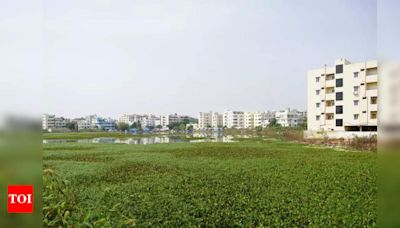 Fix Ramanthapur Lake Ftl In 6 Months: Hc To Committee | Hyderabad News - Times of India