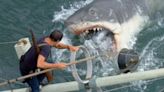 Drone Footage Snaps Up the First Known Baby Photos of a Great White Shark (Probably)