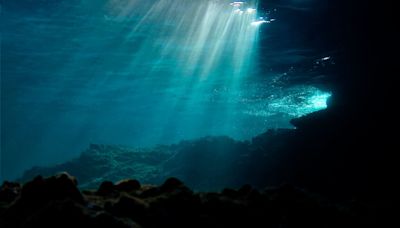 No solo las plantas y algas lo crean: encuentran minerales en el fondo marino que fabrican "oxígeno oscuro"