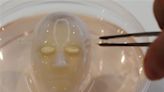 Say cheese: Japanese scientists make robot face ‘smile’ with living skin