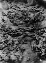 massacro di Katyn