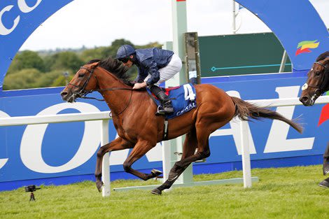 City of Troy's Class Prevails in Coral-Eclipse