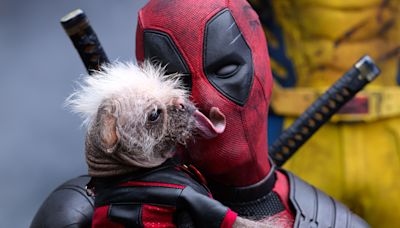 Deadpool & Wolverine Made It Weird While Saying Goodbye to Fox’s Marvel Movies