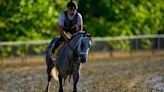 Seize the Grey wins the Preakness for D. Wayne Lukas and ends Mystik Dan’s Triple Crown bid