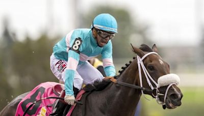 Turf racing, Breeders' Cup preps on weekend racing menu; weather a wild card