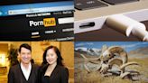 Pornhub Drops Texas, Time to Unplug Your Laptop, Bad Royal Photoshops, Franken-Sheep and More