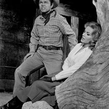 Audie Murphy, Kathleen Crowley - Showdown (1963) | Old hollywood stars ...