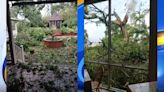 Rip Van Winkle Gardens suffers from storm damage, closed until further notice