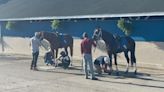 Horses must be healthy to race. This clinic makes sure their caretakers are, too.