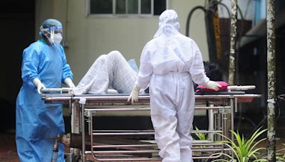 What Is the Deadly Nipah Virus and Why Is It Flaring Up Again