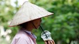 Vietnam coffee farmers boost irrigation but running low on water, says report