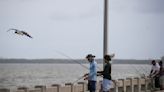 New rules approved for anglers at the Skyway Pier. Here’s what to know.