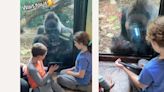You have to watch this gorilla bond with two little kids over their iPad—it’s everything