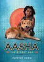 Aasha And The Street Dogs