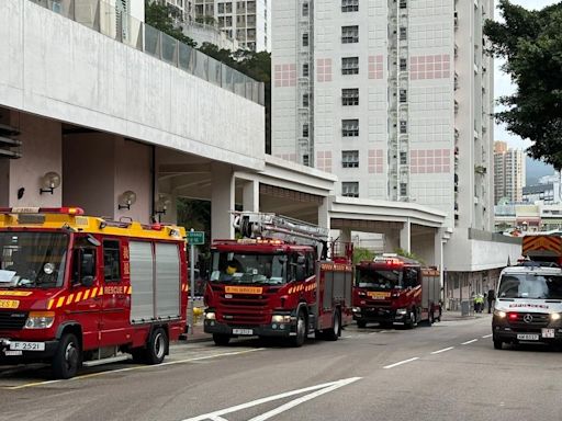 葵涌葵聯邨單位起火 疏散近百人 住戶抱愛龜逃生