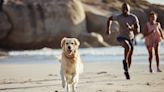 The 11 Most Dog-Friendly Beaches in the U.S.