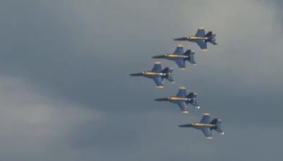 Blue Angel leaves air show early after seagull damages engine