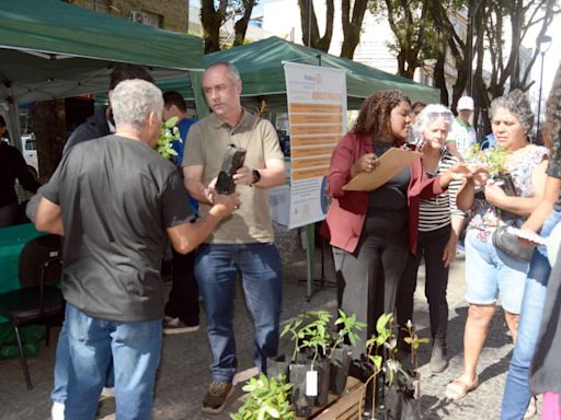 Prefeitura de Barra Mansa realiza mutirão para encerrar Semana do Meio Ambiente | Barra Mansa - Notícias, fotos e vídeos | O Dia