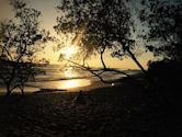 Playa Negra, Costa Rica